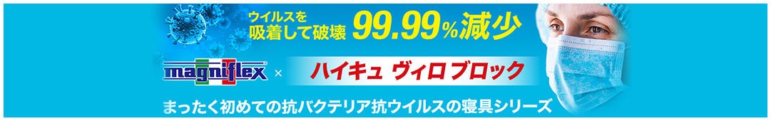 ハイキュヴィロブロック