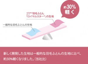 ゴア１
