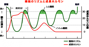 成長ホルモン