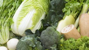 冬野菜の集合